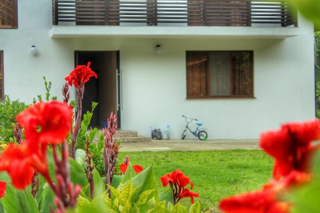 Guest House Sirius Пицунда Екстериор снимка